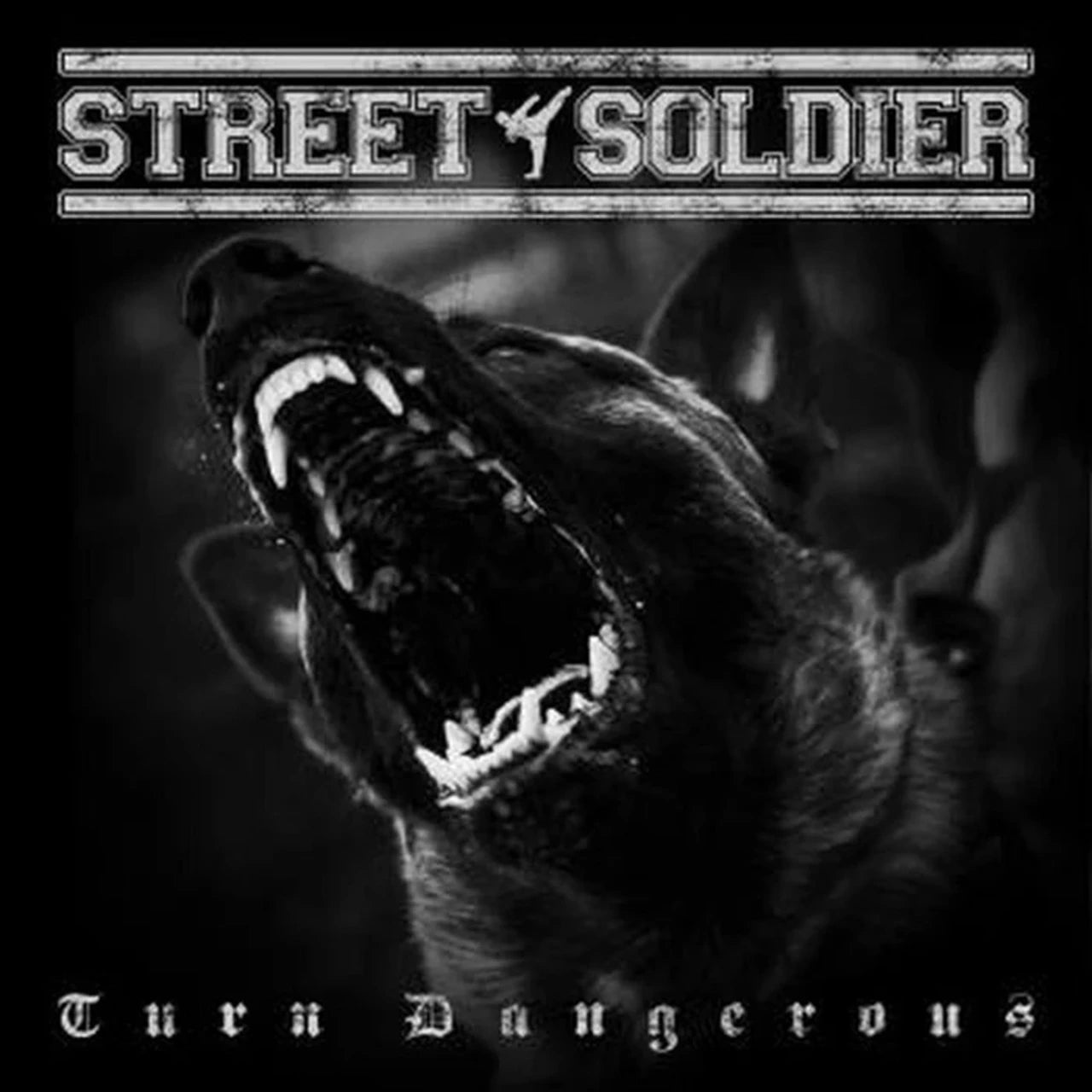 STREET SOLDIER - "TURN DANGEROUS" CD image 0