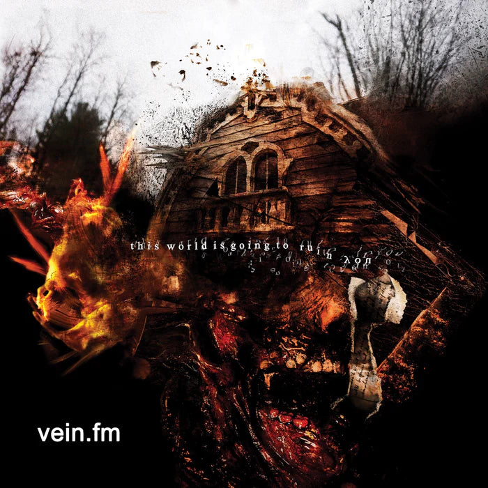 Vein.fm - “This World Is Going To Ruin You” CD