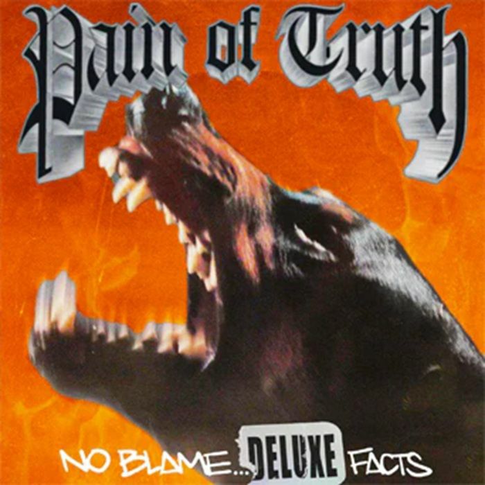 Pain of Truth - “No Blame… DELUXE Facts” CD